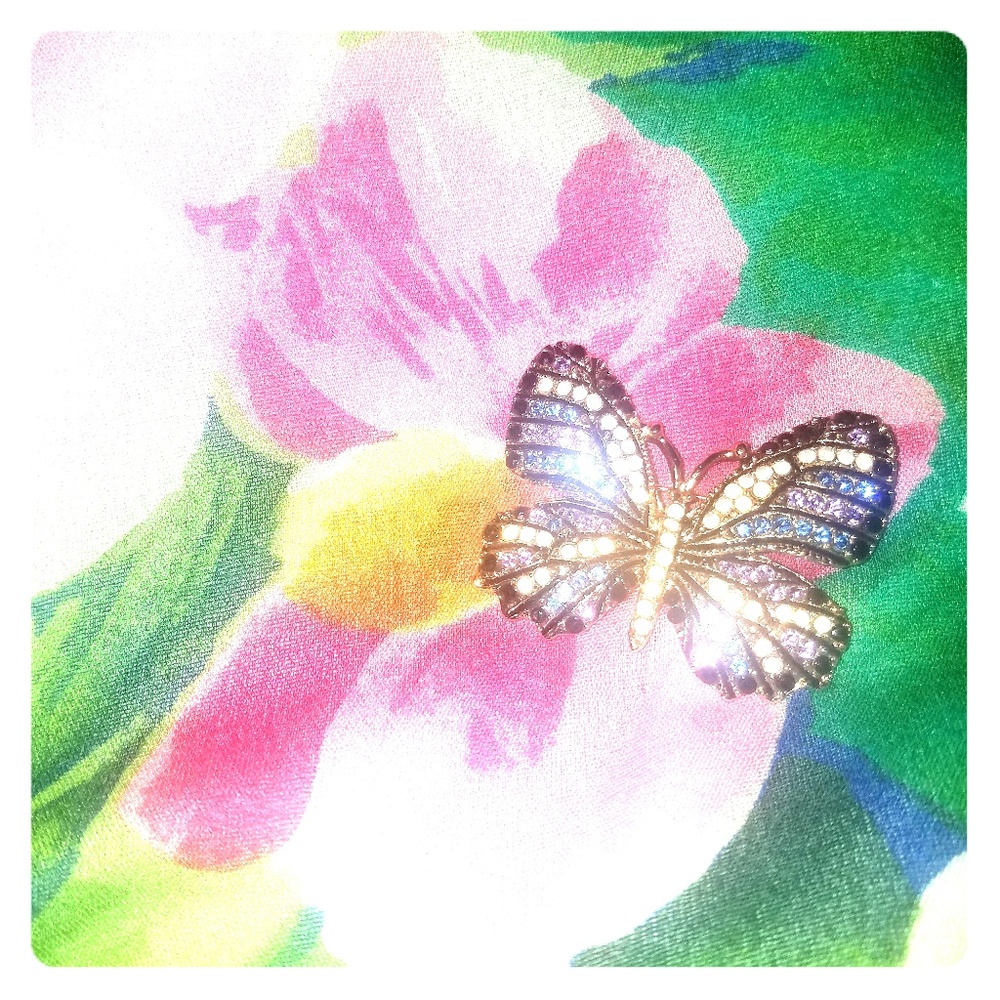🌹Butterfly Brooch